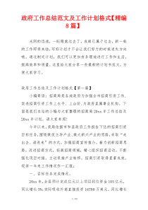 政府工作总结范文及工作计划格式【精编8篇】