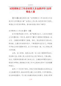 试用期转正工作总结范文及自我评价(实用精选5篇