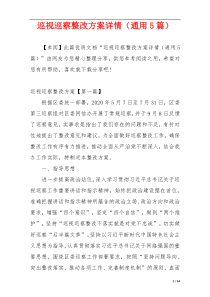 巡视巡察整改方案详情（通用5篇）