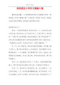 我的朋友小学作文精编5篇