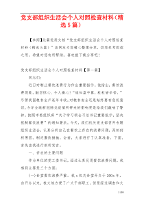 党支部组织生活会个人对照检查材料（精选5篇）