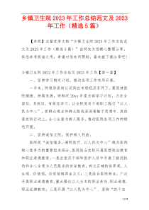乡镇卫生院2023年工作总结范文及2023年工作（精选5篇）