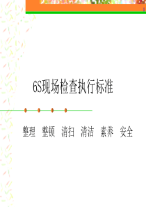 6S现场检查执行标准-压缩版