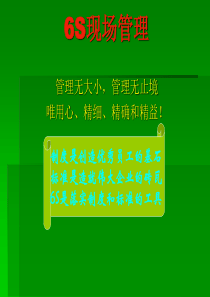 6S现场管理(季静琳)
