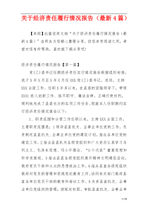 关于经济责任履行情况报告（最新4篇）