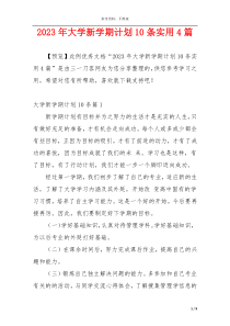 2023年大学新学期计划10条实用4篇