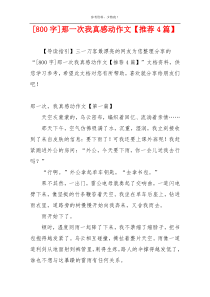 [800字]那一次我真感动作文【推荐4篇】