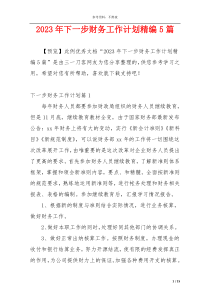 2023年下一步财务工作计划精编5篇