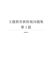 主题教育抓检视问题集聚3篇