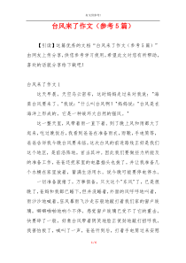 台风来了作文（参考5篇）