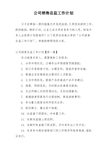 公司销售总监工作计划
