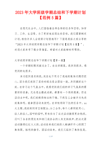 2023年大学班级学期总结和下学期计划【范例5篇】