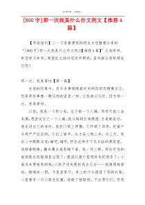 [800字]那一次我真什么作文例文【推荐4篇】