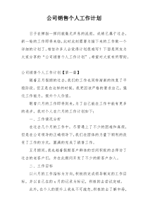 公司销售个人工作计划