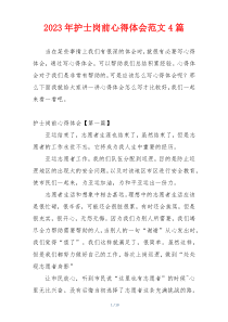 2023年护士岗前心得体会范文4篇