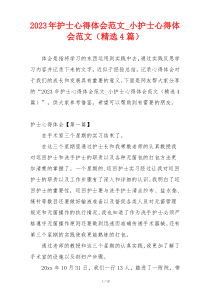 2023年护士心得体会范文_小护士心得体会范文（精选4篇）