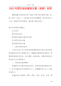 2023年团日活动策划方案（实例）实用