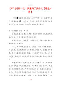 [600字]那一次，我懂得了爱作文【精选4篇】