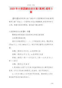 2023年小型团建活动方案(案例)通用5篇