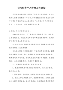公司财务个人年度工作计划