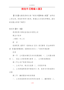 规划书【精编4篇】