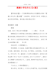 震撼小学生作文【4篇】