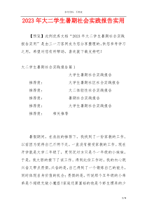 2023年大二学生暑期社会实践报告实用