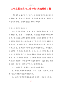 大学生村官实习工作计划(热选精编3篇