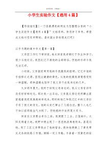 小学生实验作文【通用4篇】