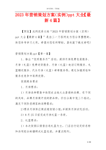 2023年营销策划方案（实例）ppt大全【最新4篇】
