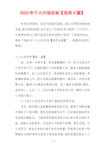 2023年个人计划目标【实用8篇】
