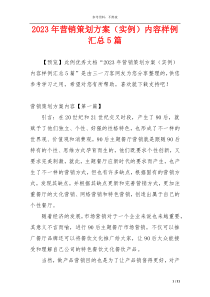 2023年营销策划方案（实例）内容样例汇总5篇