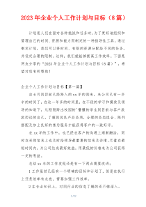 2023年企业个人工作计划与目标（8篇）