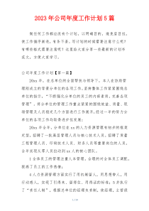 2023年公司年度工作计划5篇