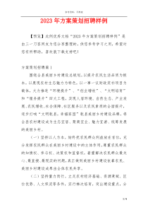 2023年方案策划招聘样例