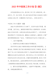 2023年中医院工作计划【5篇】