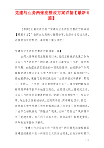 党建与业务两张皮整改方案详情【最新5篇】