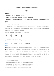 初中语文【9年级下】2019年山东省枣庄市中考语文试题（解析版）
