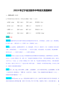 初中语文【9年级下】2019年辽宁省沈阳市中考语文真题（解析版）