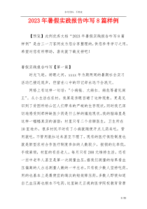 2023年暑假实践报告咋写8篇样例