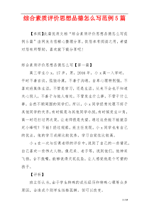 综合素质评价思想品德怎么写范例5篇