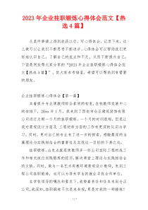 2023年企业挂职锻炼心得体会范文【热选4篇】