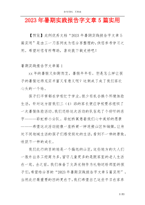 2023年暑期实践报告字文章5篇实用