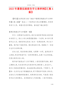 2023年暑期实践报告字文章样例【汇集4篇】