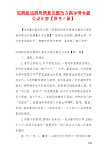 巡察组巡察反馈意见整改方案详情专题会议纪要【参考5篇】