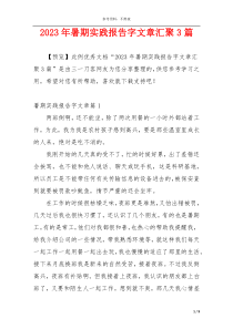 2023年暑期实践报告字文章汇聚3篇