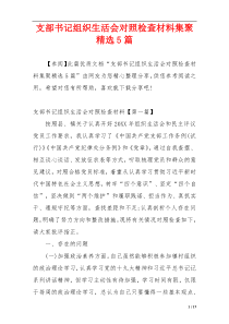 支部书记组织生活会对照检查材料集聚精选5篇