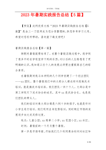 2023年暑期实践报告总结【5篇】