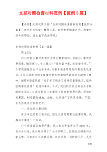 支部对照检查材料范例【范例5篇】