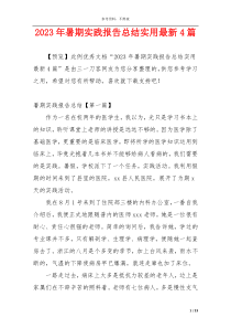 2023年暑期实践报告总结实用最新4篇